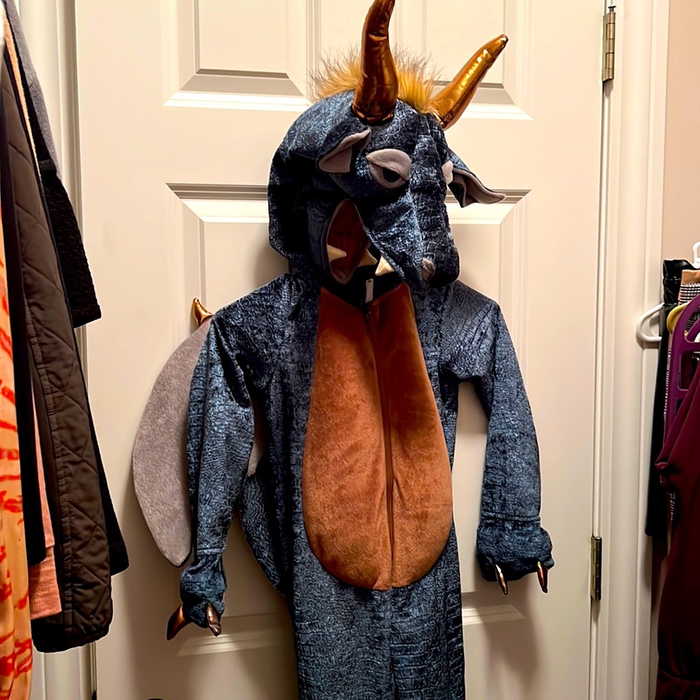 Dragon Costume - (4-5T)